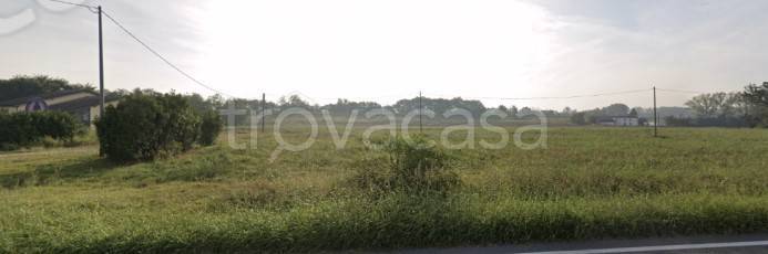 immagine annuncio 4 di 8