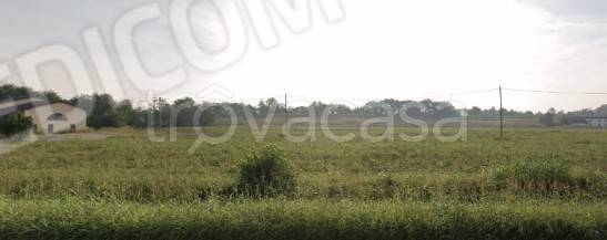 immagine annuncio 6 di 8