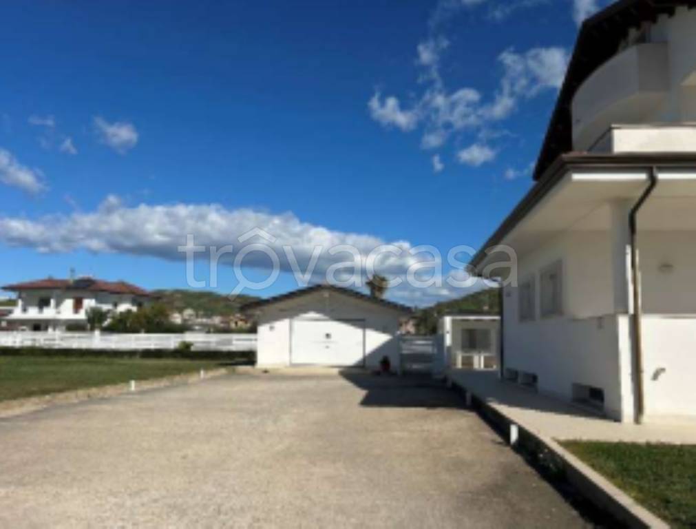 immagine annuncio 6 di 11