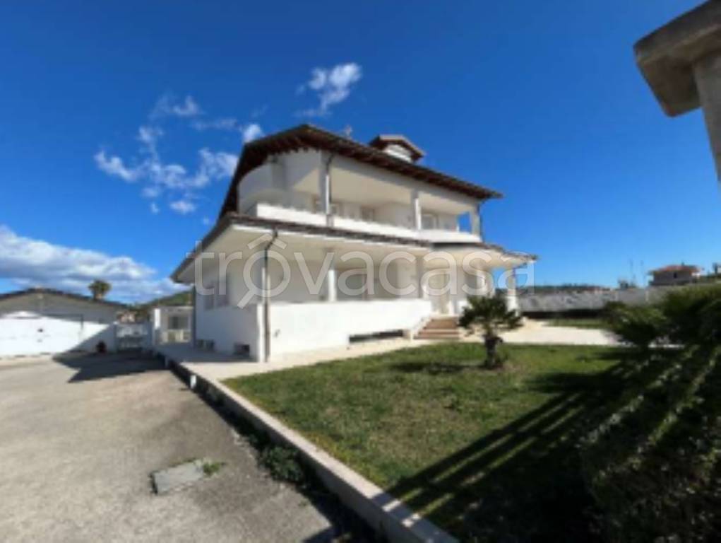 immagine annuncio 7 di 11