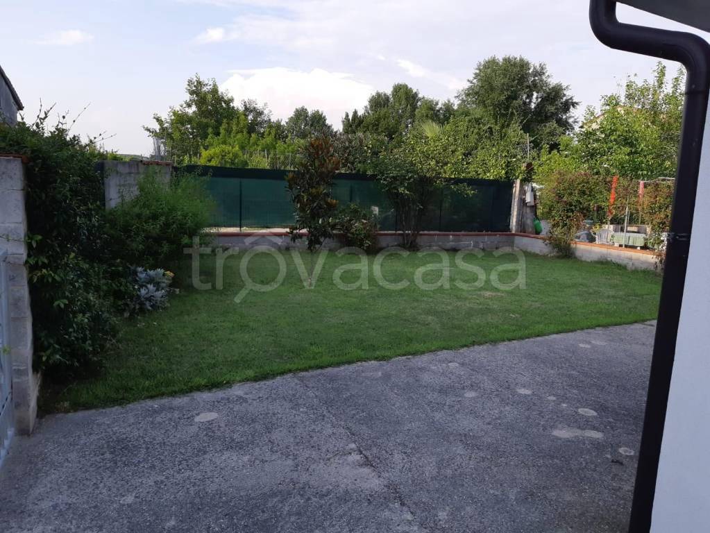 immagine annuncio 6 di 8