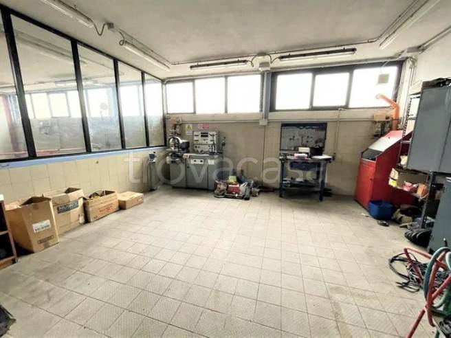 immagine annuncio 8 di 15