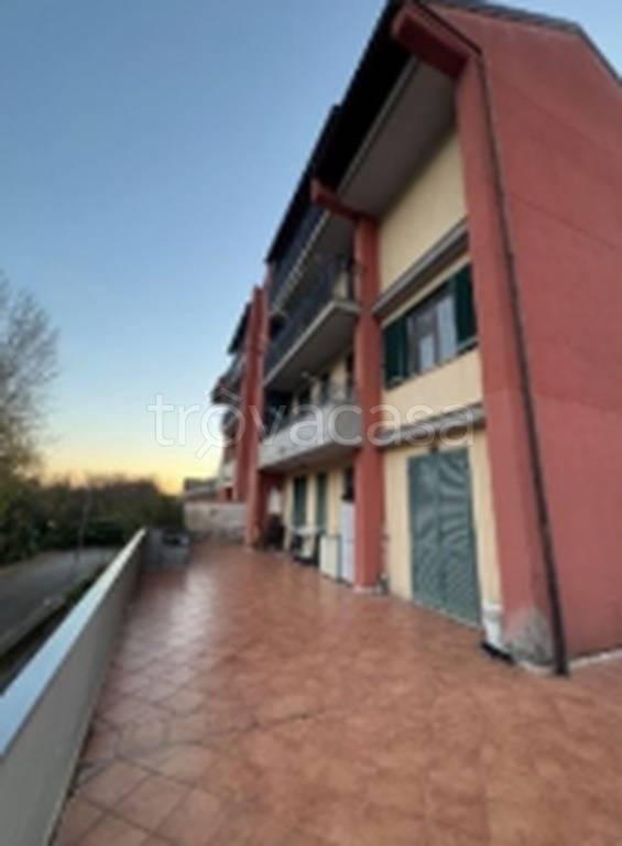 immagine annuncio 3 di 11