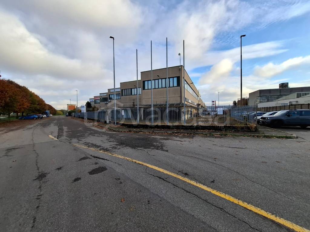 immagine annuncio 5 di 15