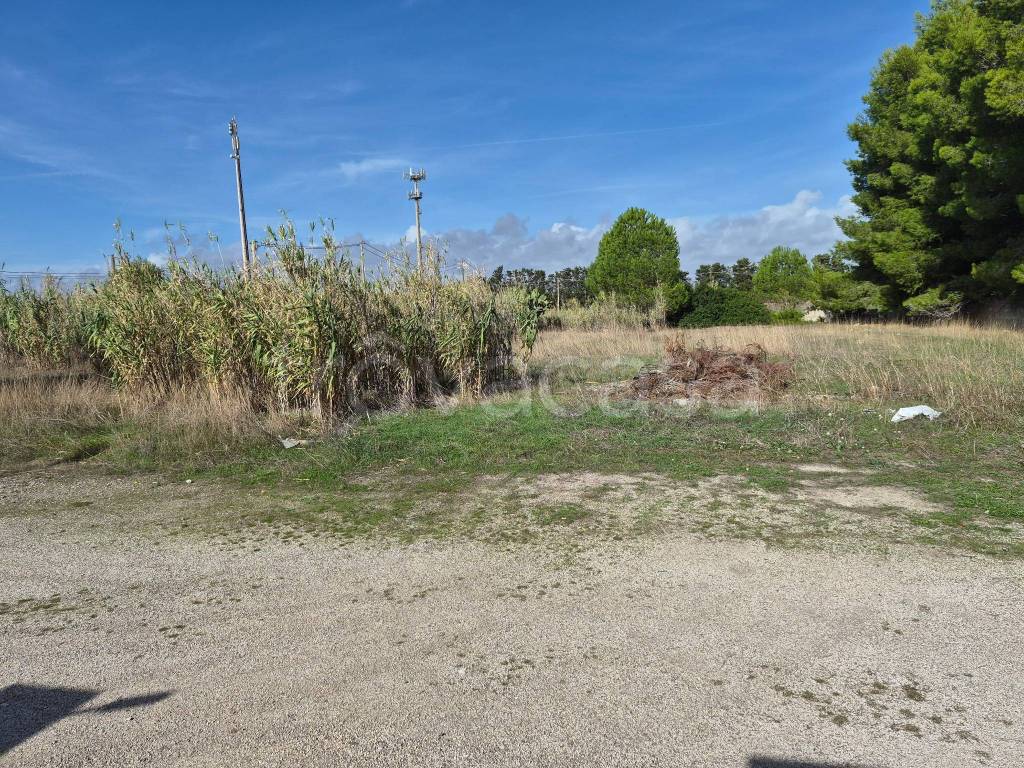 immagine annuncio 3 di 13