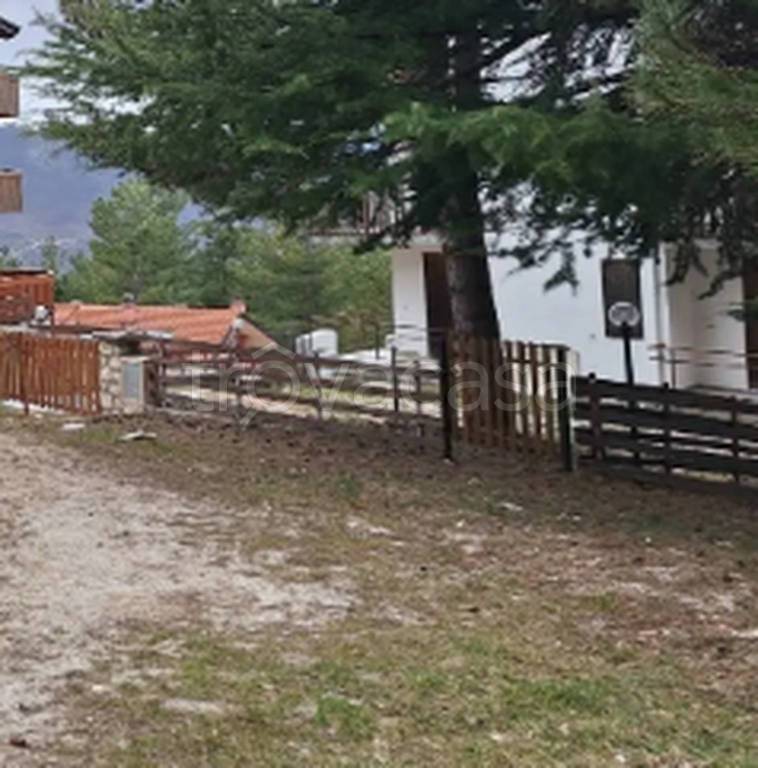 immagine annuncio 4 di 11