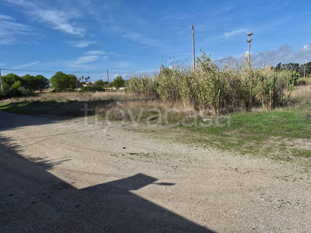 immagine annuncio 4 di 13