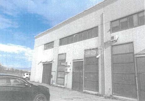 immagine annuncio 7 di 14