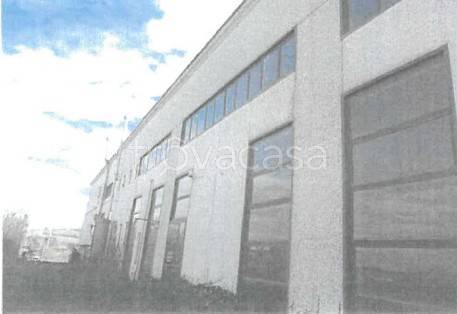 immagine annuncio 9 di 14