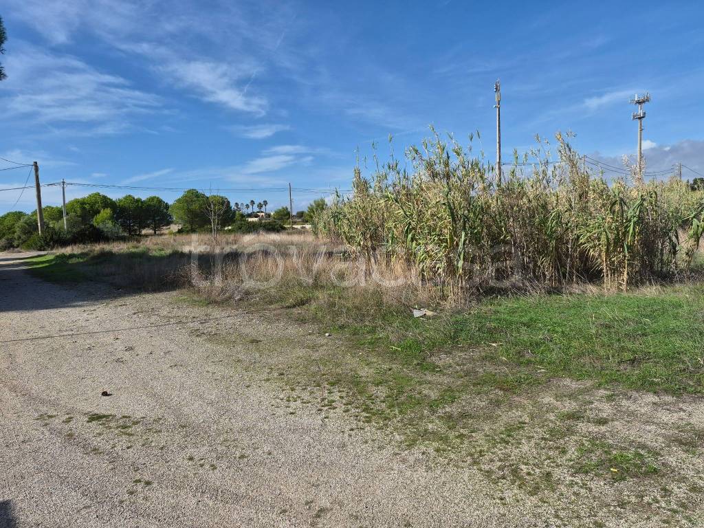 immagine annuncio 6 di 13