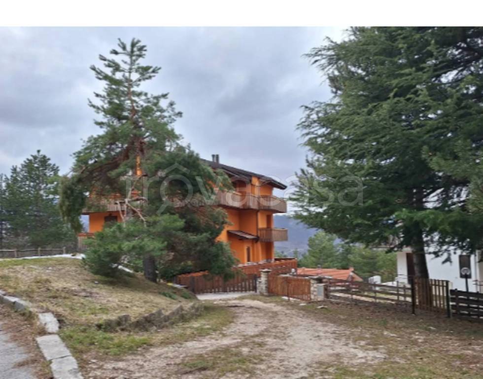 immagine annuncio 6 di 11