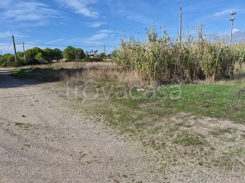 immagine annuncio 9 di 13