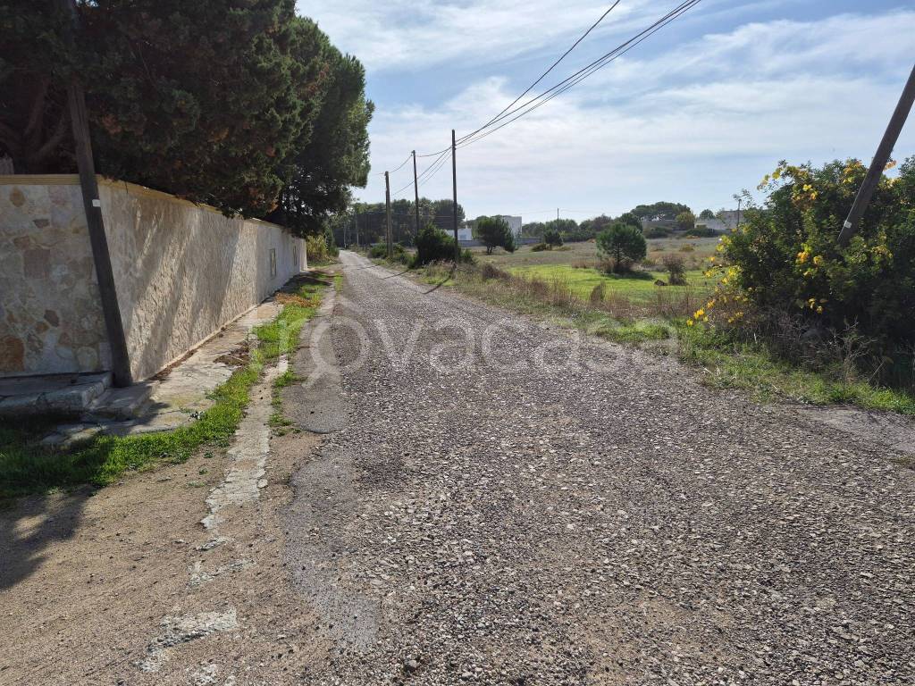 immagine annuncio 12 di 13