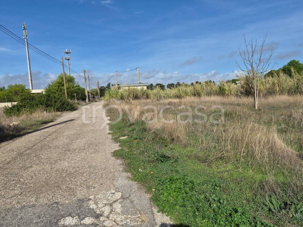 immagine annuncio 8 di 13