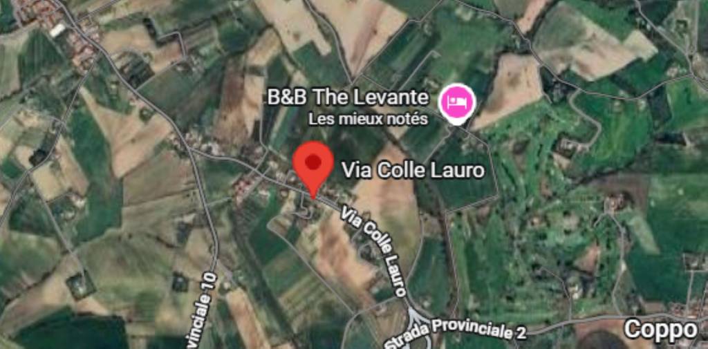 immagine annuncio 9 di 14