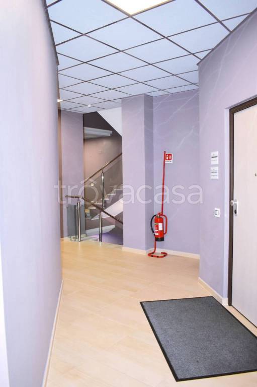 immagine annuncio 5 di 7