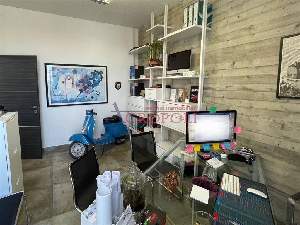 immagine annuncio 11 di 14