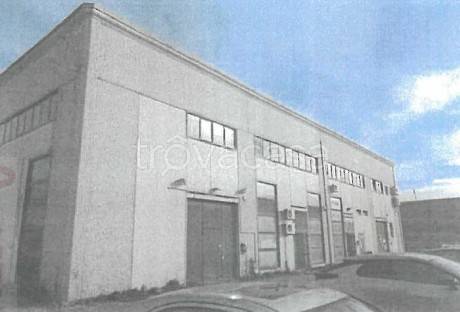 immagine annuncio 5 di 14