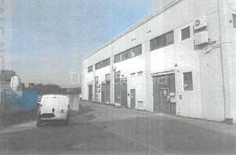 immagine annuncio 6 di 14