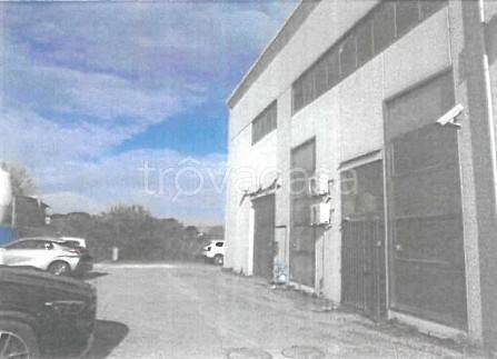 immagine annuncio 10 di 14