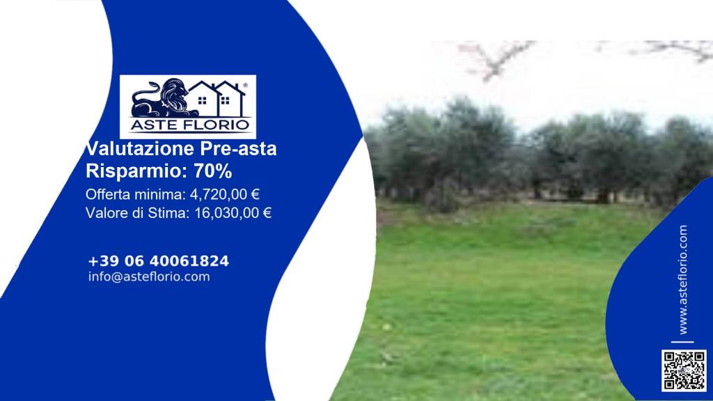 immagine annuncio 1 di 11