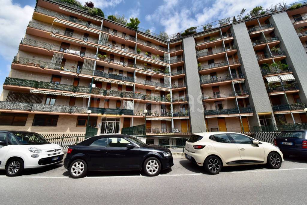 immagine annuncio 5 di 6