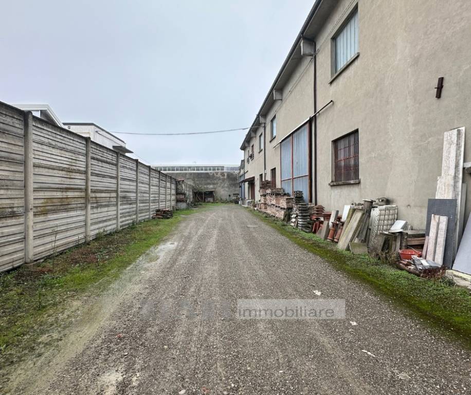 immagine annuncio 6 di 15