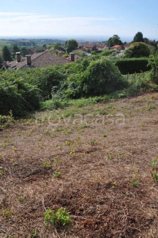 immagine annuncio 3 di 6