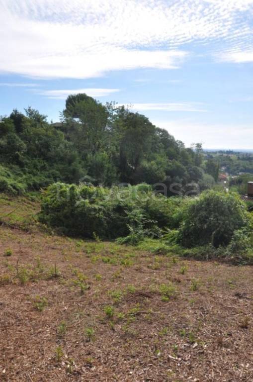 immagine annuncio 5 di 6