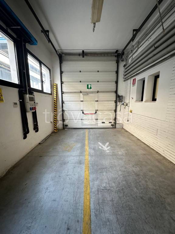 immagine annuncio 4 di 14