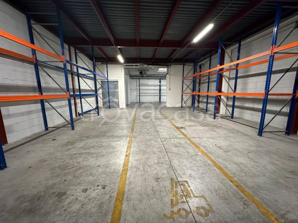 immagine annuncio 2 di 14