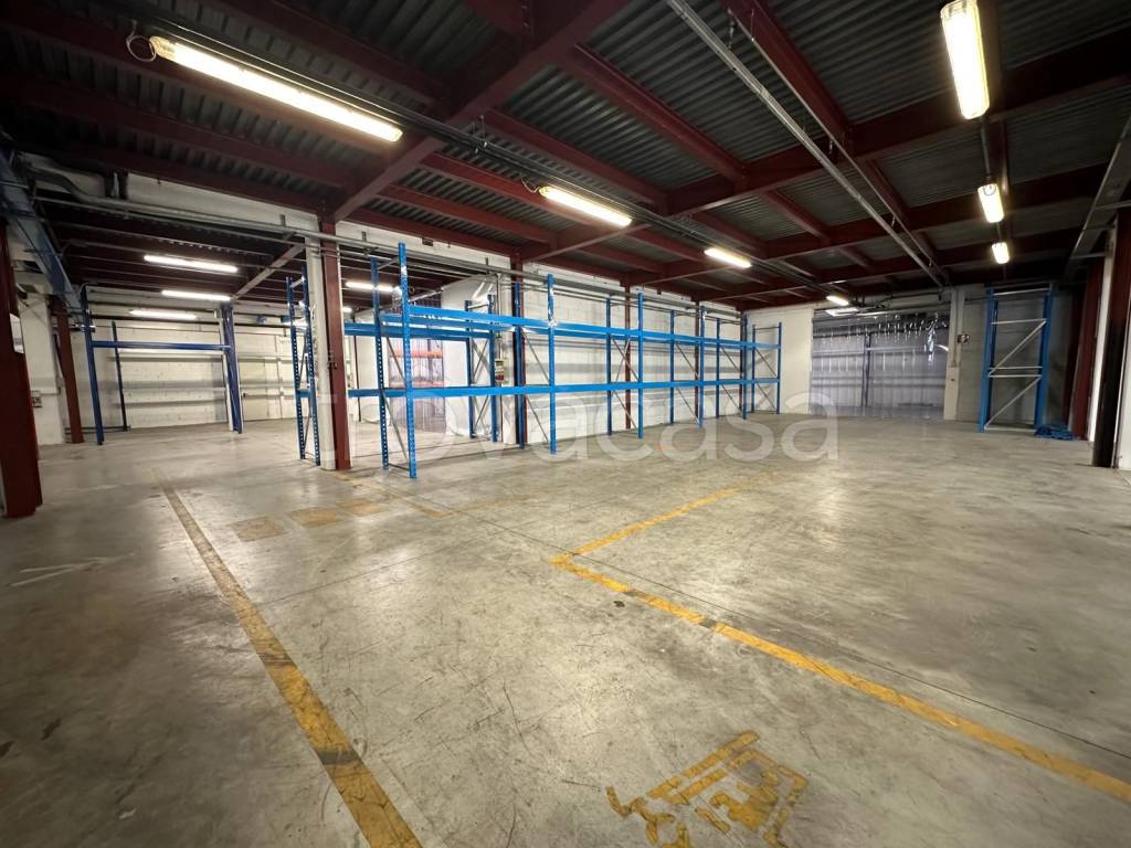 immagine annuncio 1 di 14