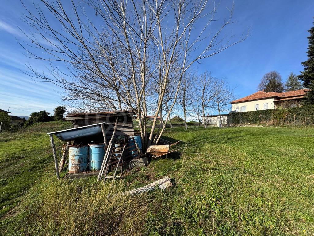 immagine annuncio 7 di 15