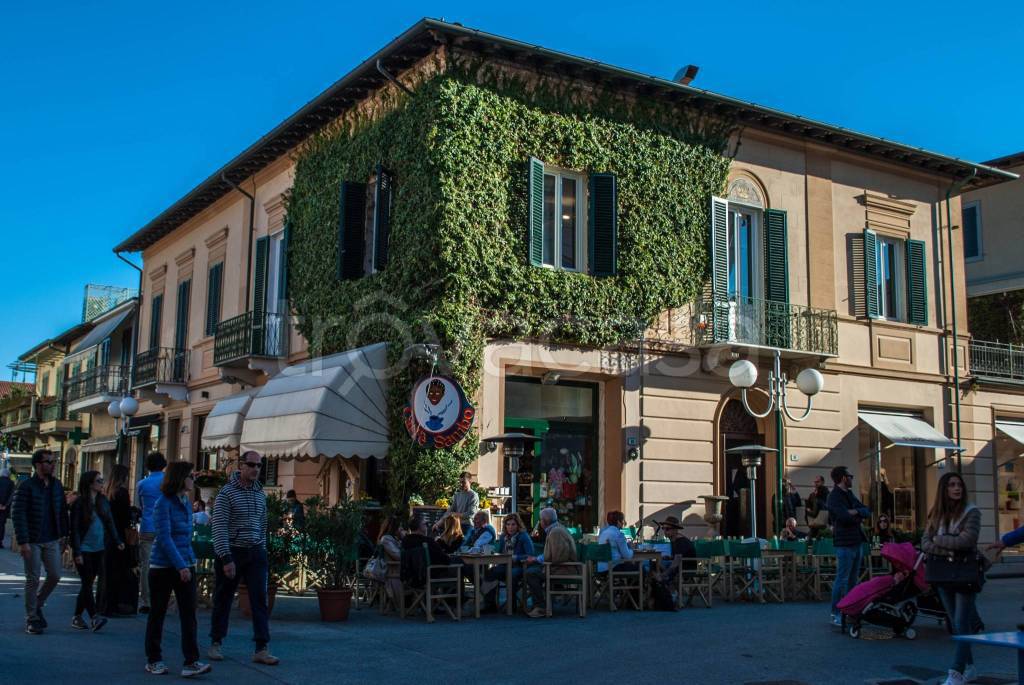 immagine annuncio 9 di 11