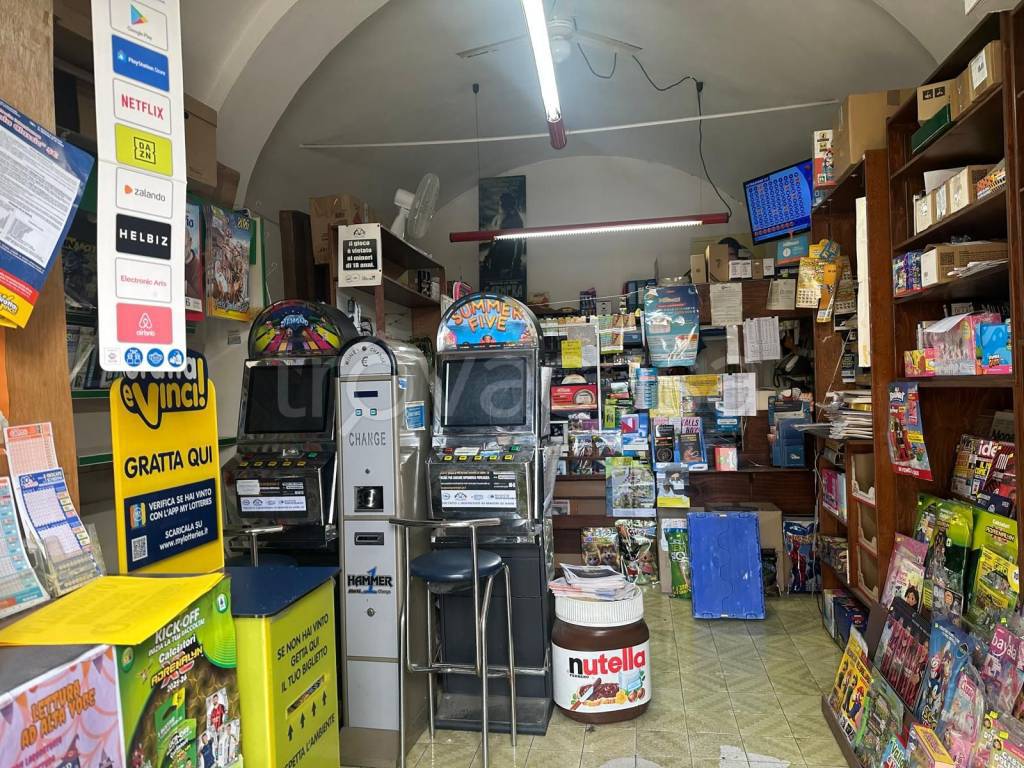 immagine annuncio 4 di 7