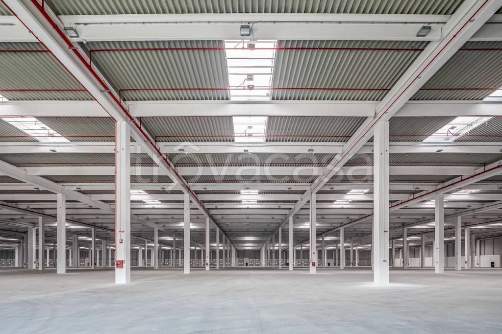 immagine annuncio 7 di 12