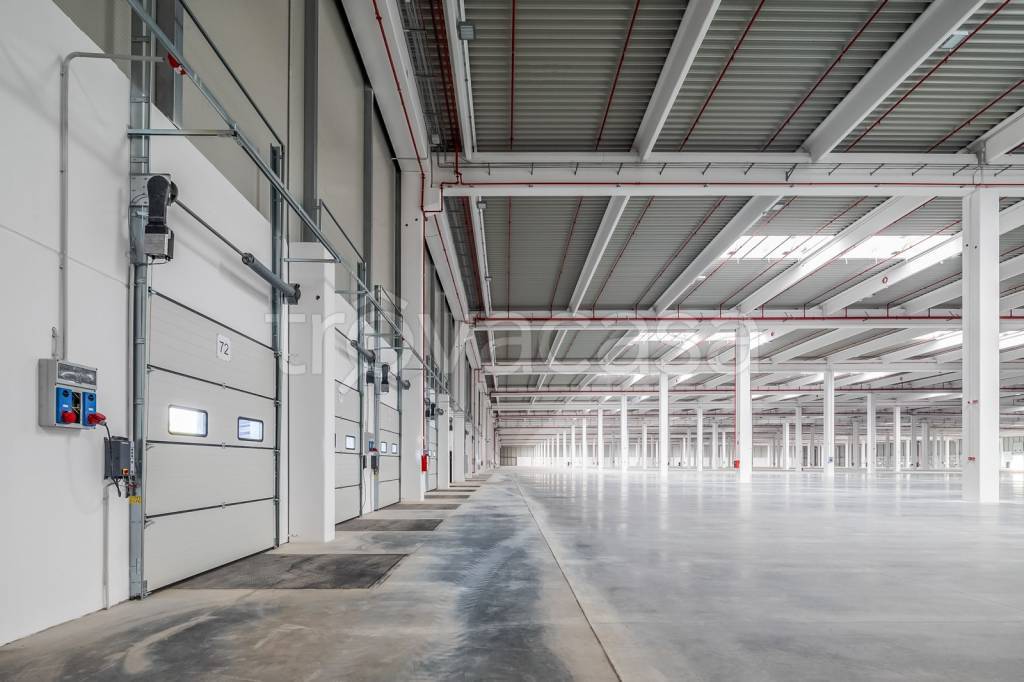 immagine annuncio 8 di 12