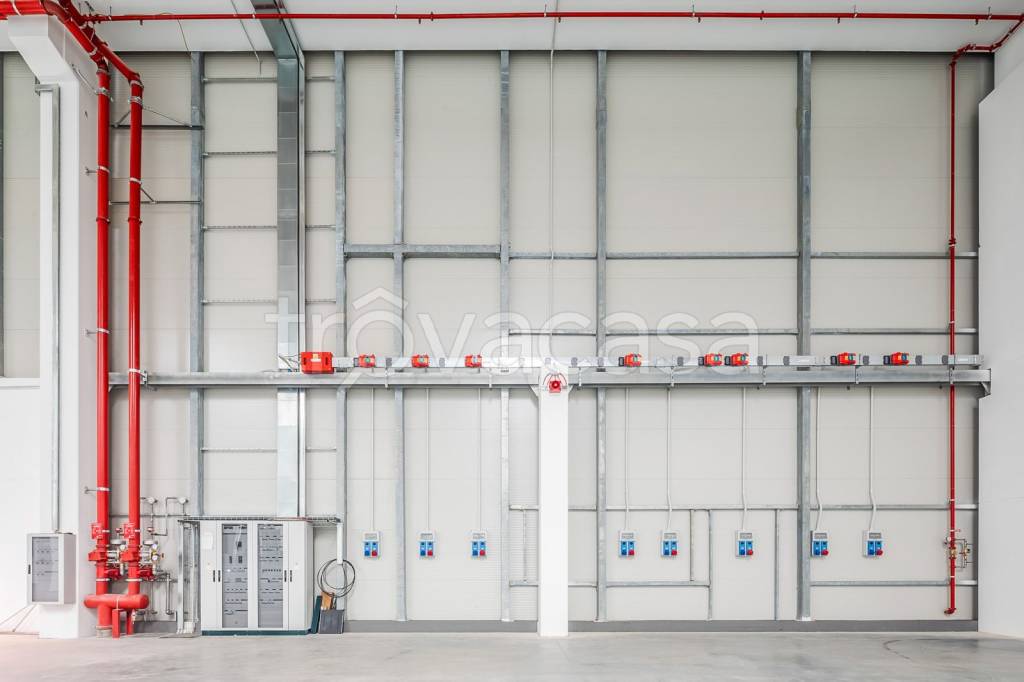 immagine annuncio 10 di 12