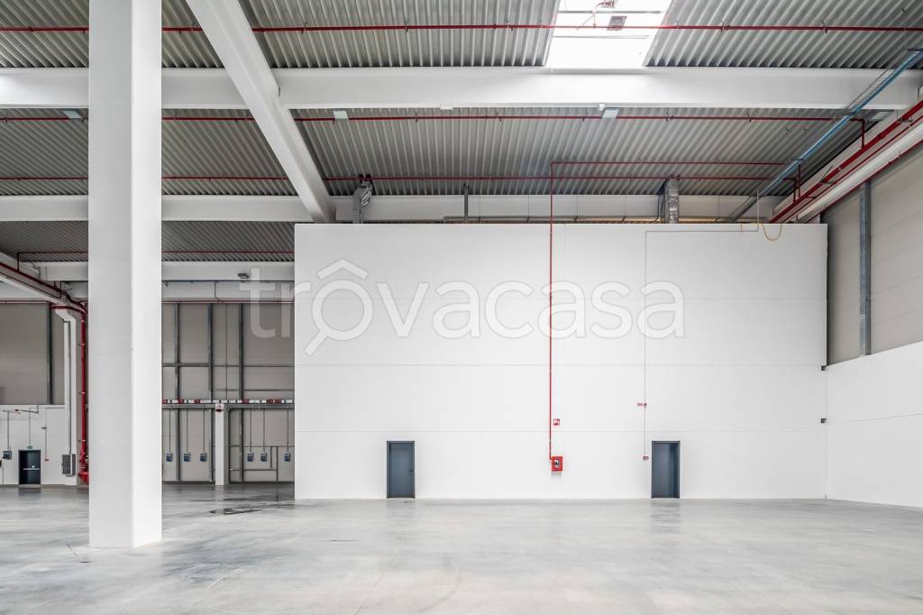 immagine annuncio 11 di 12