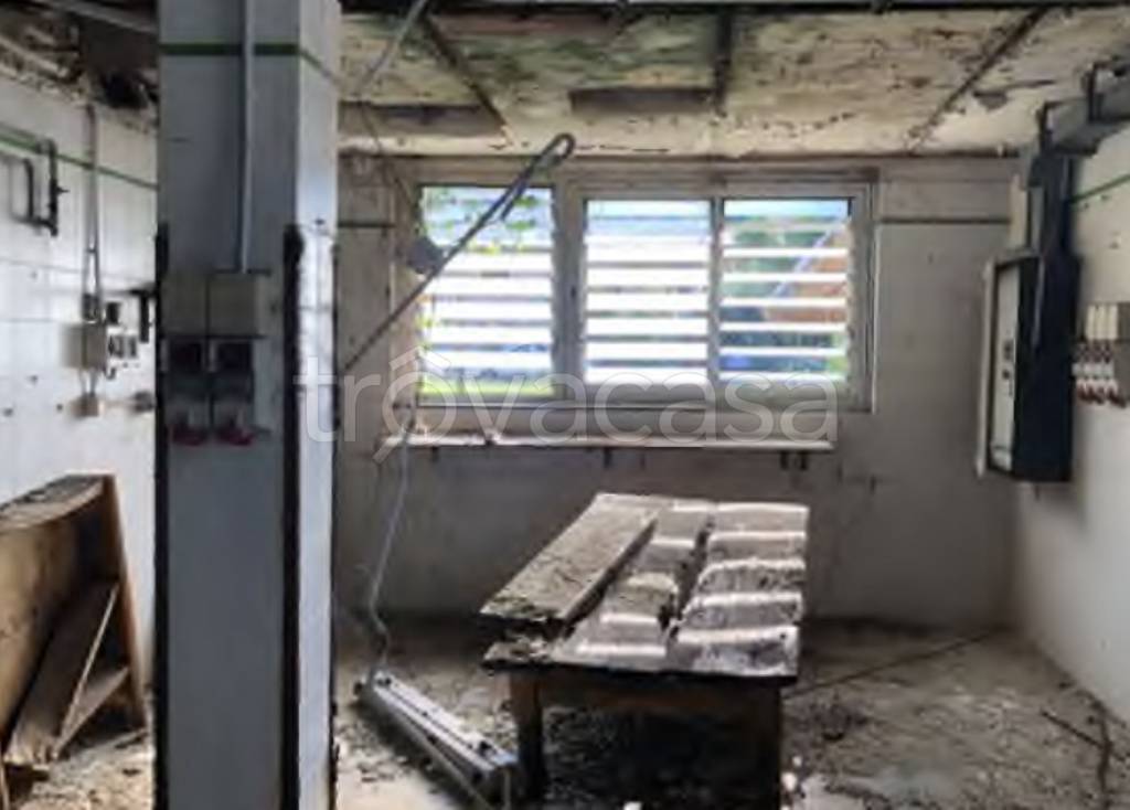 immagine annuncio 4 di 12