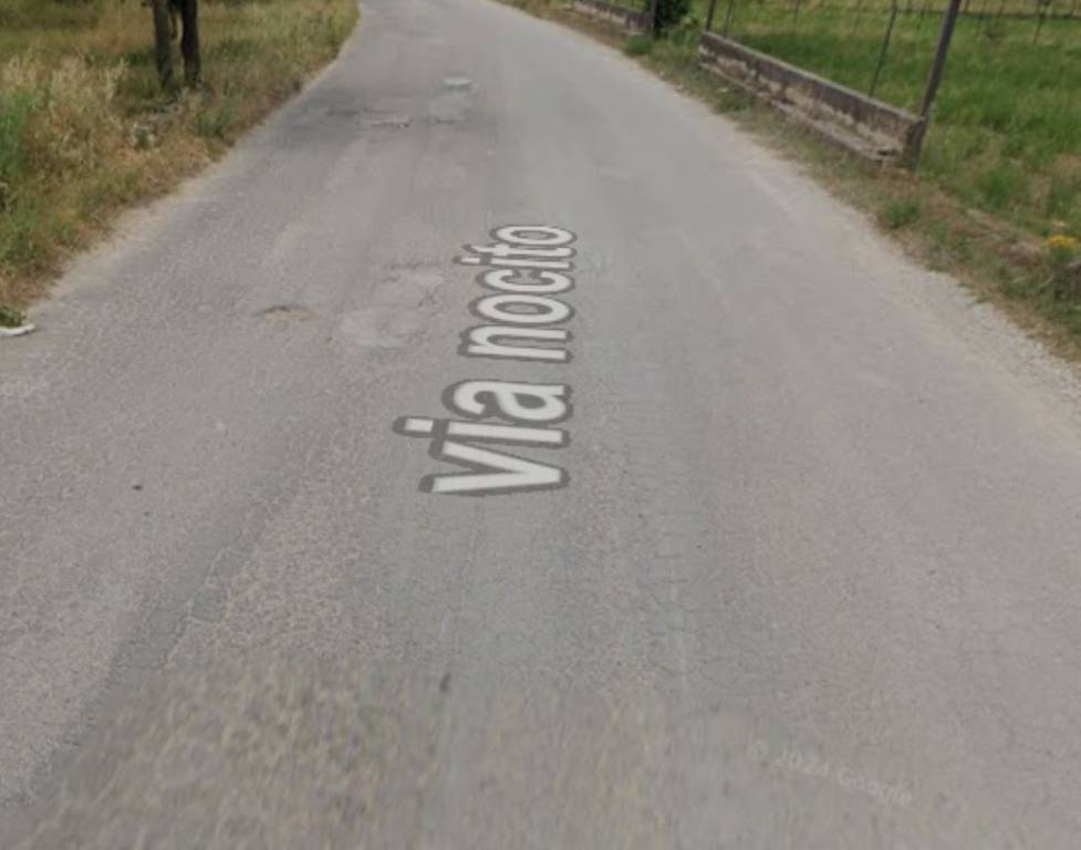 immagine annuncio 3 di 13