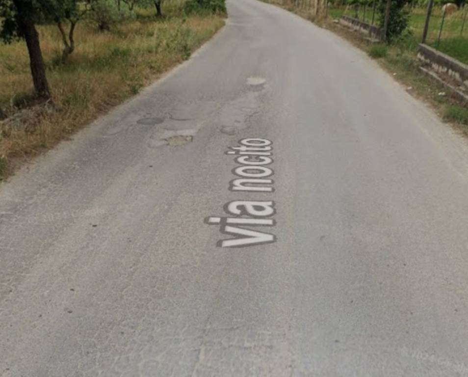 immagine annuncio 4 di 13