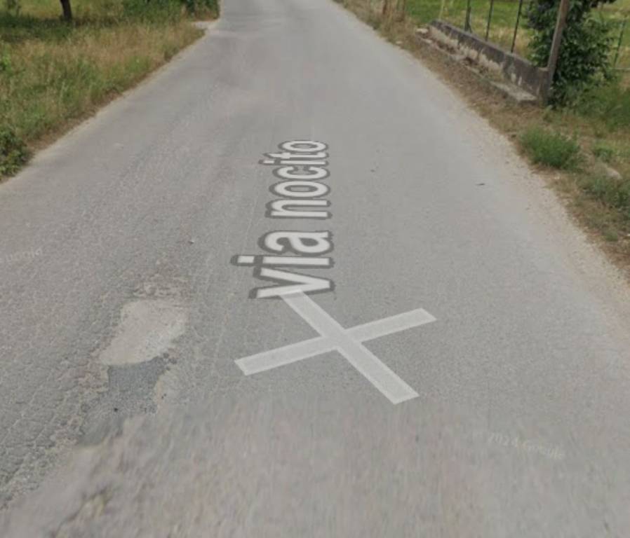 immagine annuncio 5 di 13