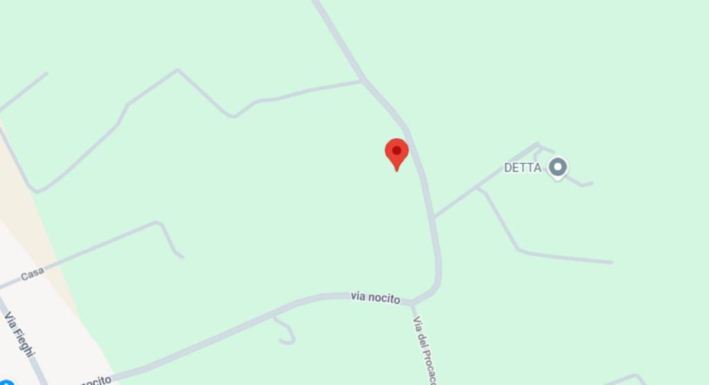 immagine annuncio 9 di 13