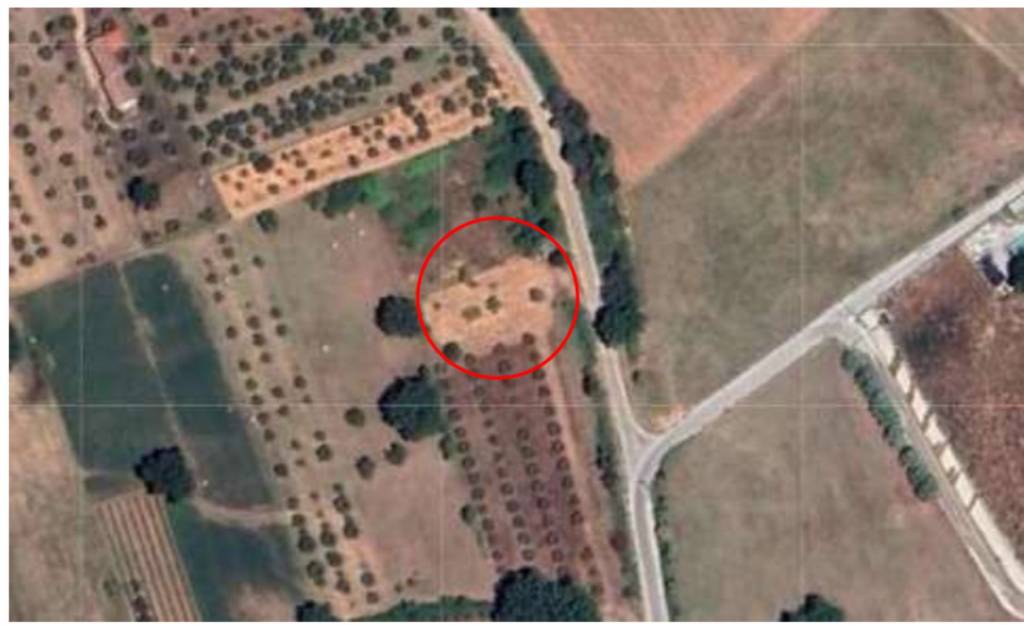 immagine annuncio 11 di 13