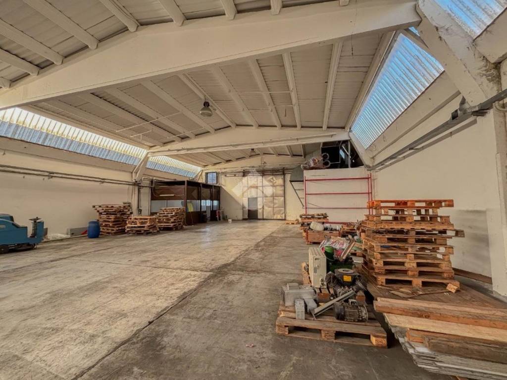 immagine annuncio 11 di 15