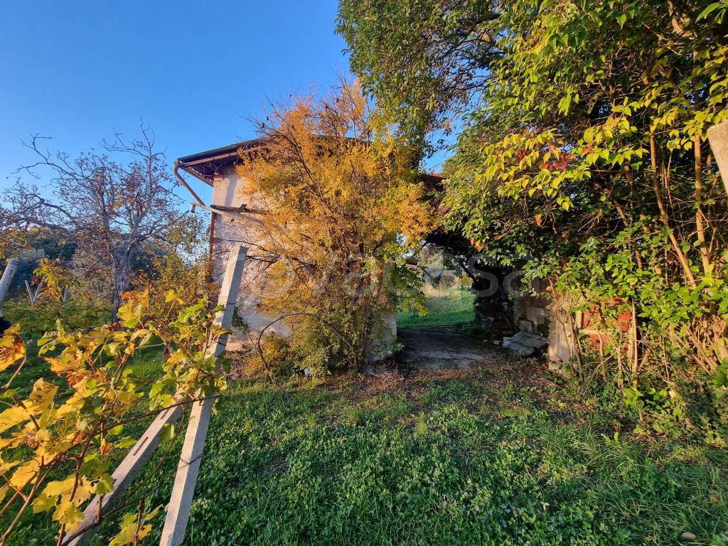 immagine annuncio 2 di 11