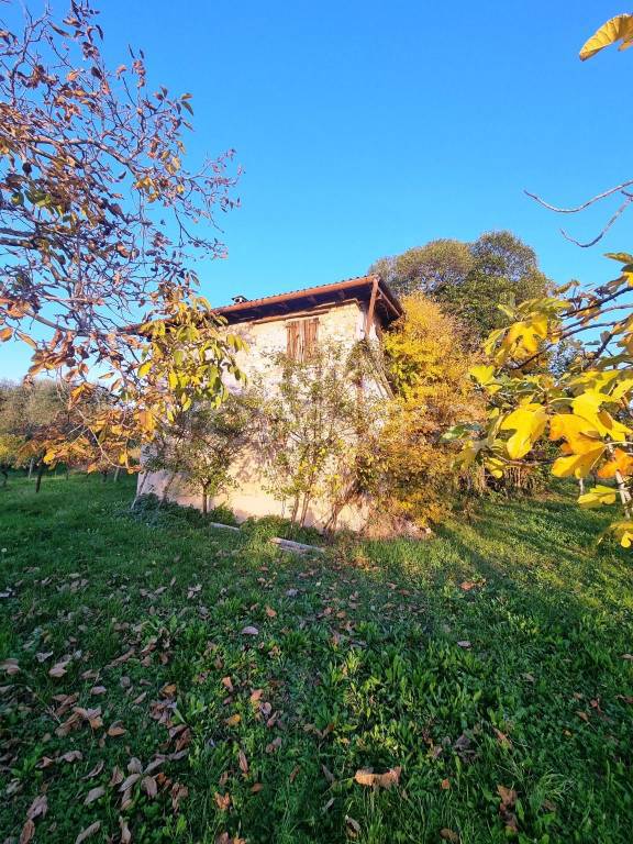 immagine annuncio 4 di 11