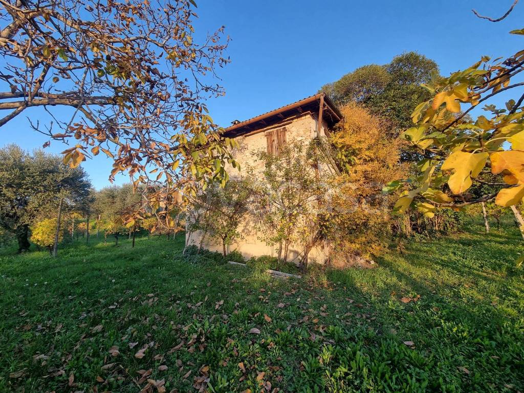 immagine annuncio 3 di 11