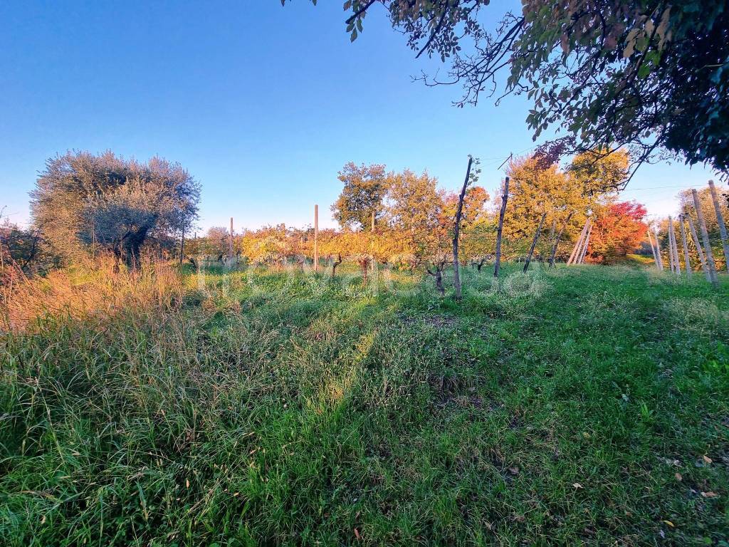 immagine annuncio 6 di 11